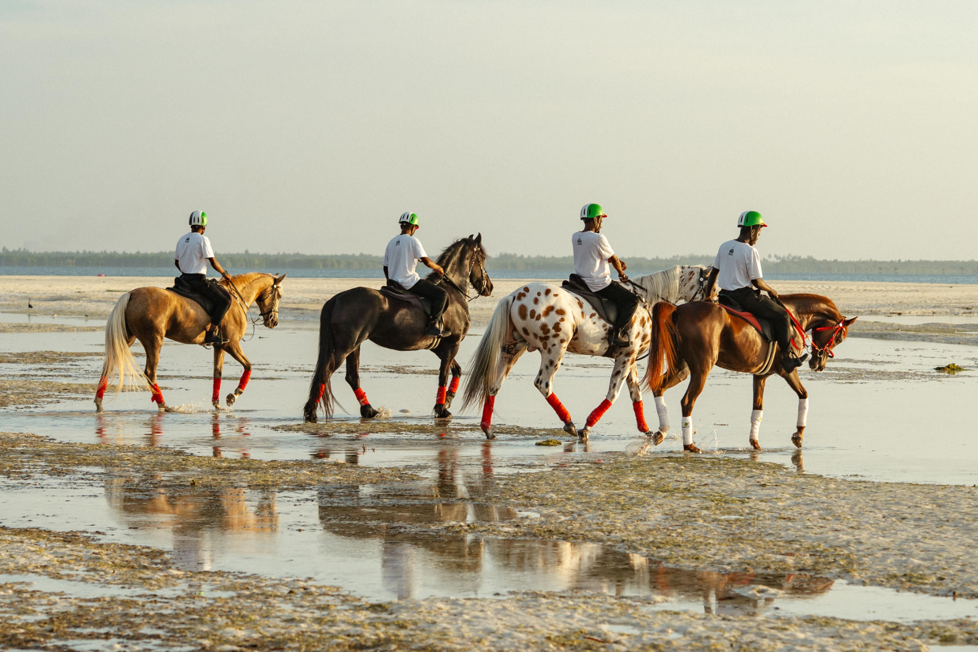 Passeio a Cavalo na praia da Ilha do Sal ao pôr do sol